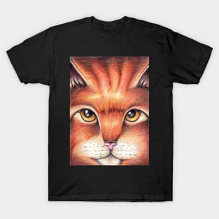 Orange and Brown Cat T-Shirt